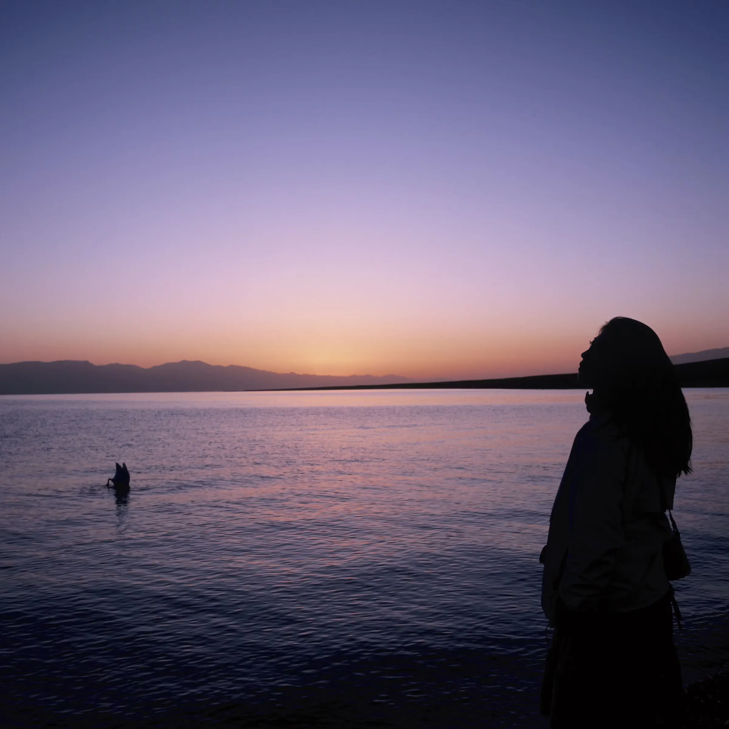 Silhouette of a woman by the lake at dusk